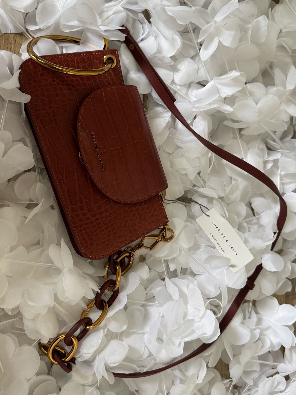 Charles & Keith Chestnut Brown Croc-Embossed Crossbody with Gold Hardware